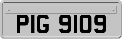 PIG9109