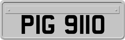 PIG9110