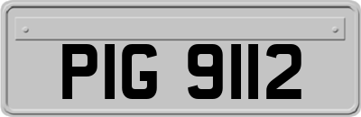 PIG9112