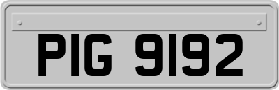 PIG9192
