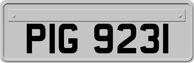 PIG9231