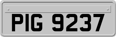 PIG9237