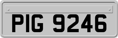 PIG9246