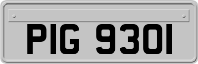 PIG9301