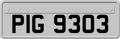 PIG9303