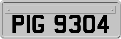 PIG9304