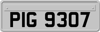 PIG9307