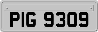 PIG9309