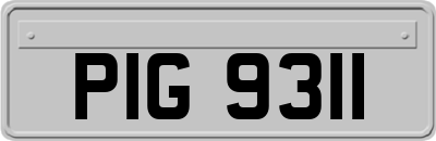 PIG9311