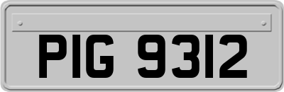 PIG9312