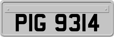 PIG9314