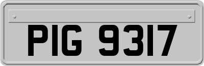 PIG9317