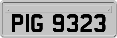 PIG9323