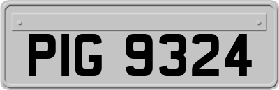 PIG9324