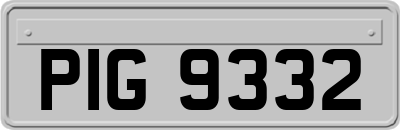 PIG9332