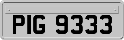 PIG9333