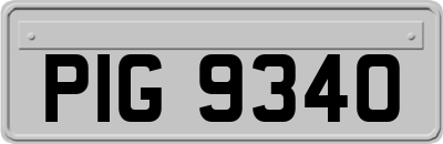 PIG9340