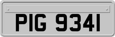 PIG9341