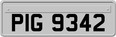 PIG9342