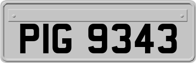 PIG9343