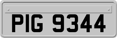 PIG9344