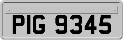 PIG9345