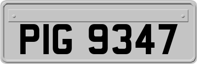 PIG9347