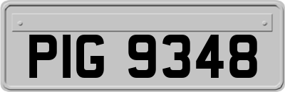 PIG9348