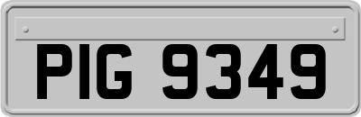 PIG9349