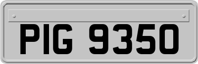 PIG9350