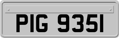 PIG9351