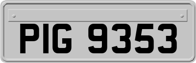 PIG9353