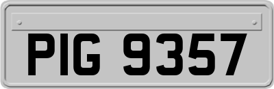 PIG9357