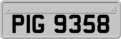 PIG9358