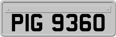 PIG9360