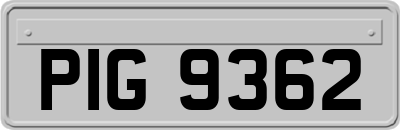 PIG9362