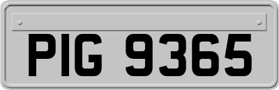 PIG9365