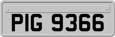 PIG9366