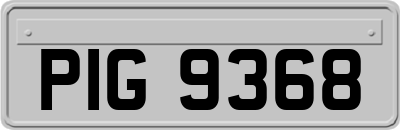 PIG9368