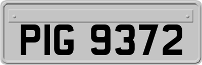 PIG9372