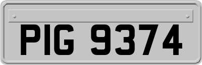 PIG9374