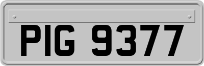 PIG9377