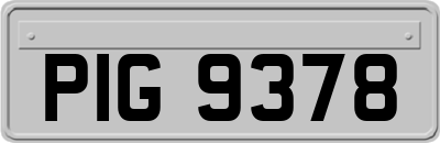 PIG9378