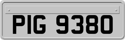 PIG9380