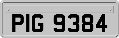 PIG9384