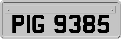 PIG9385