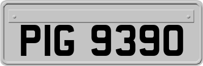 PIG9390