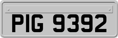 PIG9392