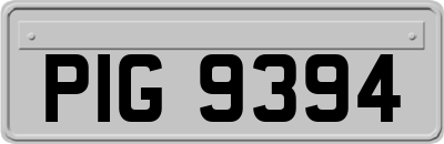 PIG9394