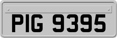 PIG9395